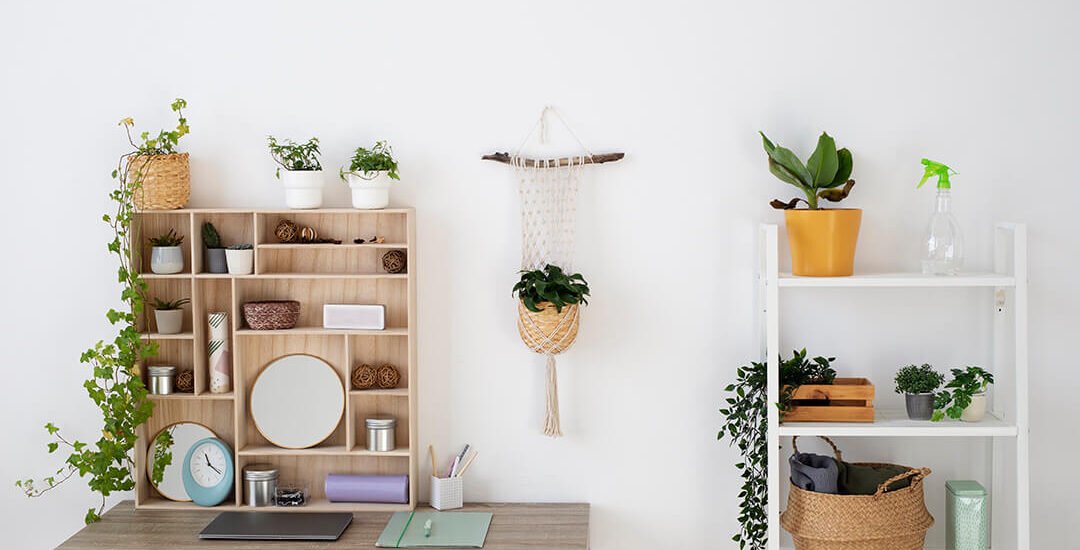 high-angle-beautiful-plants-home-Clever Storage Solutions for small places