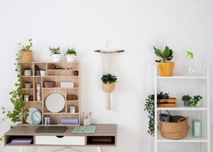 high-angle-beautiful-plants-home-Clever Storage Solutions for small places