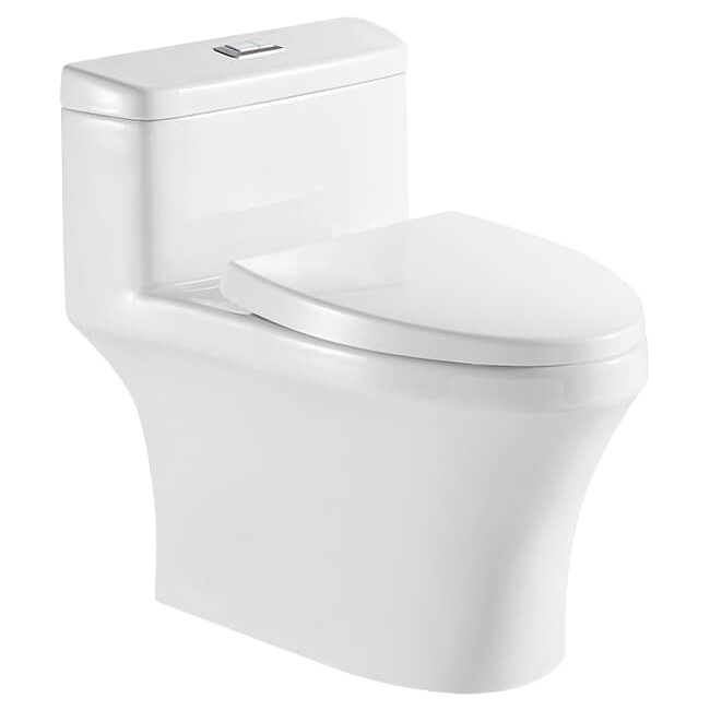 Modern one-piece toilet made from durable ceramic with a soft-close lid and R&T fittings